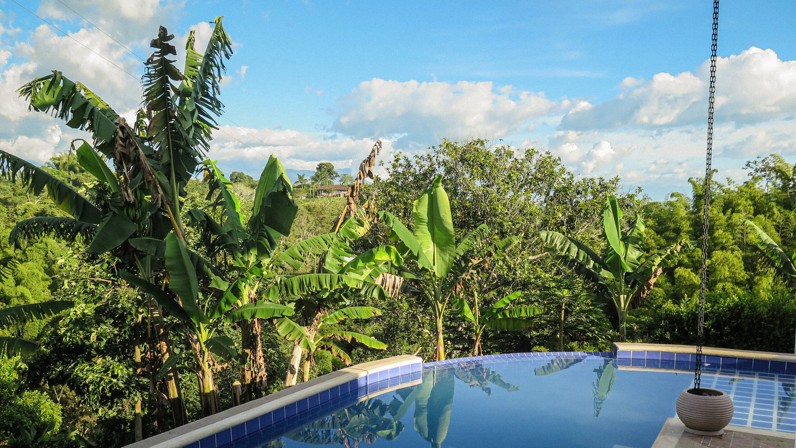 Piscina La Coqueta Finca Cafetera - Coffee Farm 